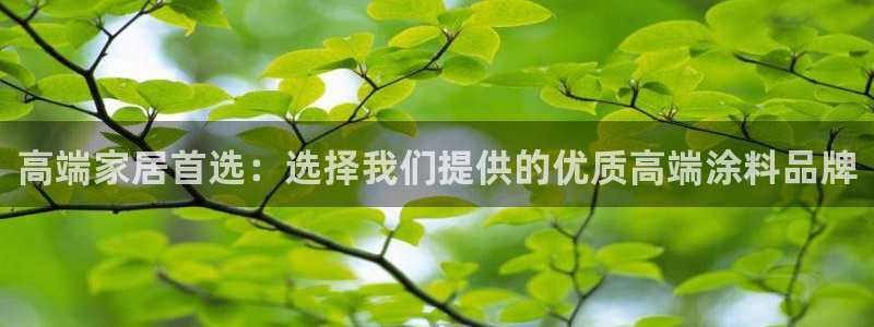和记平台下载：高端家居首选：选择我们提供的优质高端涂料品牌
