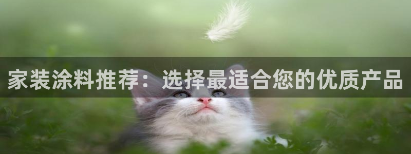 和记官网登录：家装涂料推荐：选择最适合您的优质产品