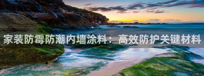 深圳和记科技有限公司：家装防霉防潮内墙涂料：高效防护关键材料