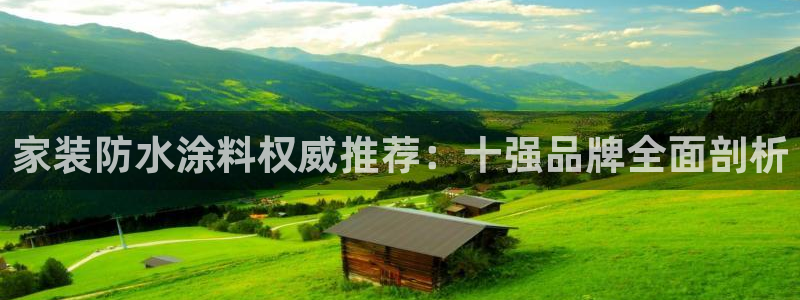 和记国际电讯市值：家装防水涂料权威推荐：十强品牌全面剖析