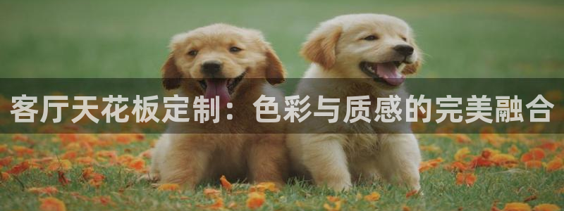 和记平台怎么样