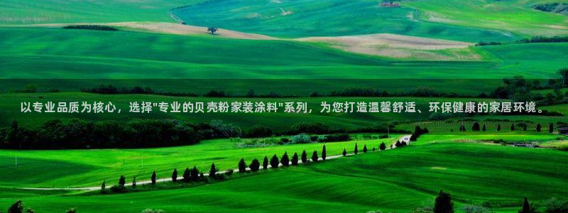 和记官方直营：以专业品质为核心，选择\