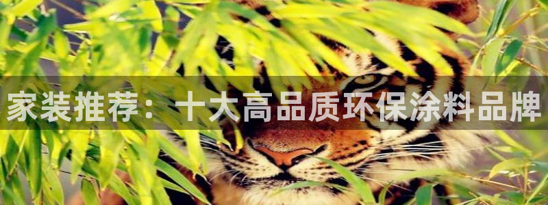 ag和记app：家装推荐：十大高品质环保涂料品牌