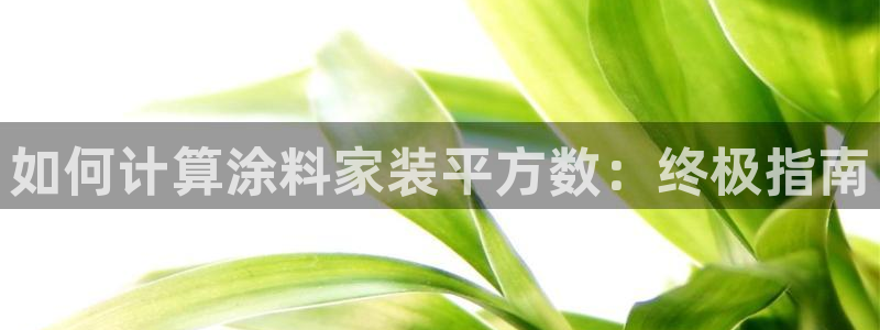 和记Ag：如何计算涂料家装平方数：终极指南
