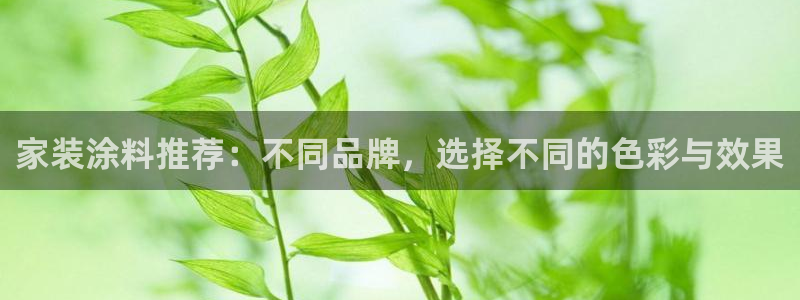 和记国际开户：家装涂料推荐：不同品牌，选择不同的色彩与效果