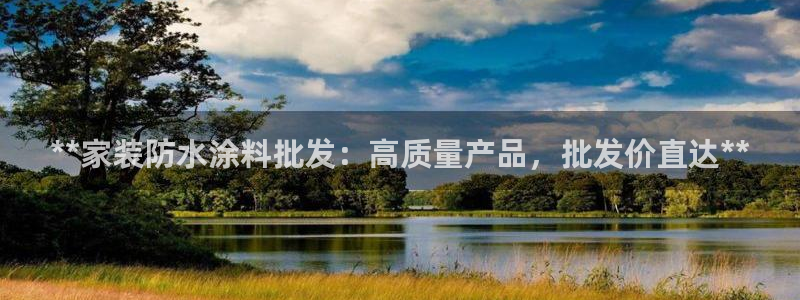 和记h88最新客户端下载：**家装防水涂料批发：高质量产品，批发价直达**