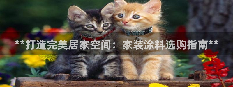 和记2017app：**打造完美居家空间：家装涂料选购指南**