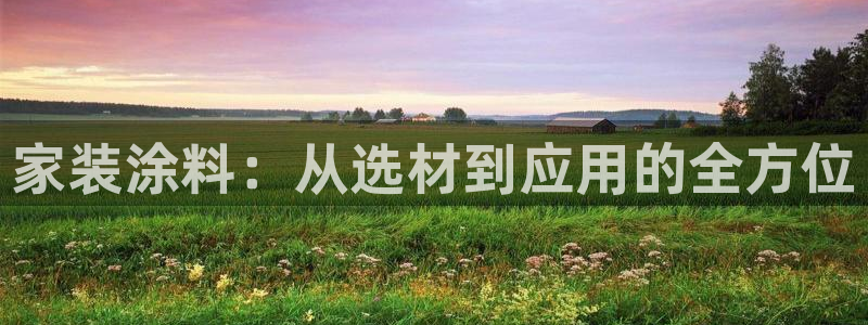 和记 中国首页：家装涂料：从选材到应用的全方位