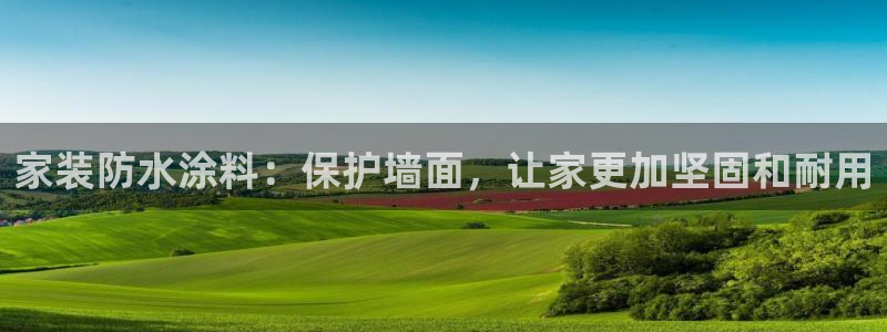 和记港口：家装防水涂料：保护墙面，让家更加坚固和耐用