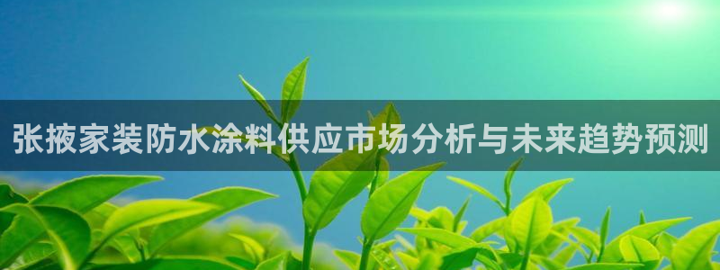 和记国际电讯市值：张掖家装防水涂料供应市场分析与未来趋势预测