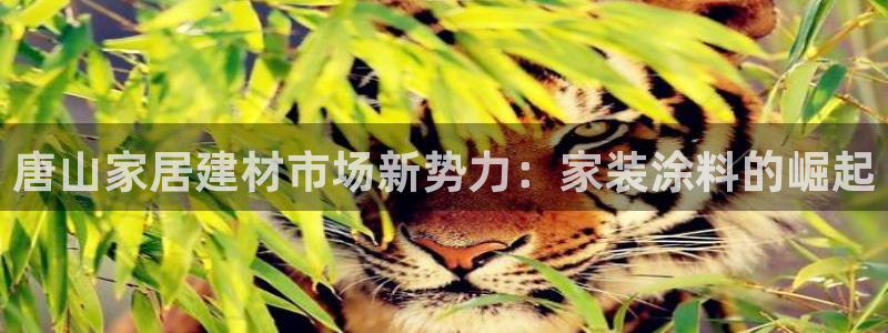 和记国际开户网站