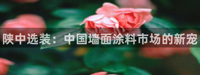 和记广告女主角