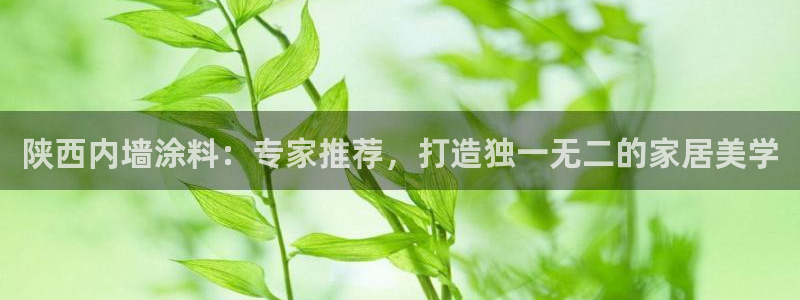 和记 中国官网：陕西内墙涂料：专家推荐，打造独一无二的家居美学