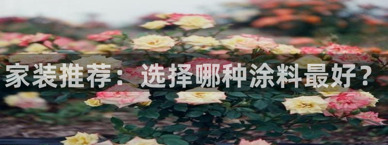 和记官网：家装推荐：选择哪种涂料最好？