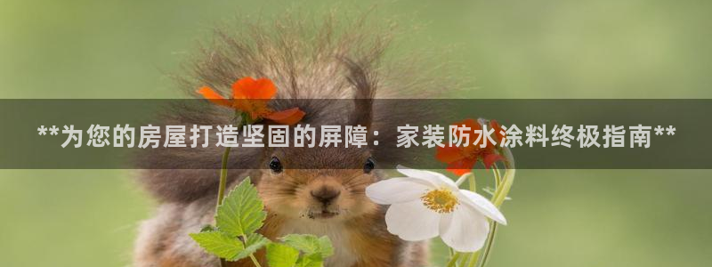 和记官方网站：**为您的房屋打造坚固的屏障：家装防水涂料终极指南**