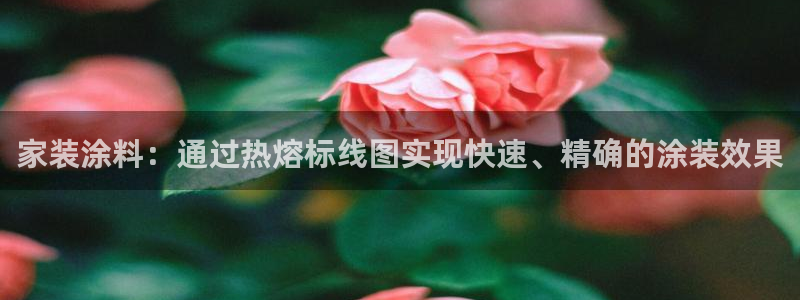 和记AG网站：家装涂料：通过热熔标线图实现快速、精确的涂装效果