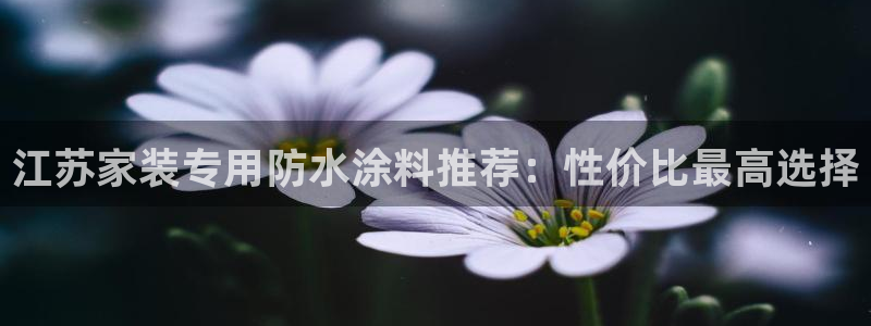 和记国际听：江苏家装专用防水涂料推荐：性价比最高选择