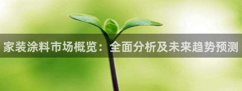 和记官方直营注册导航：家装涂料市场概览：全面分析及未来趋势预