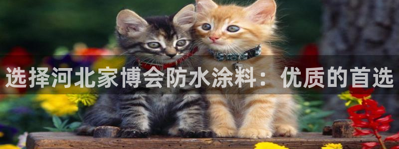 和记平台登陆：选择河北家博会防水涂料：优质的首选